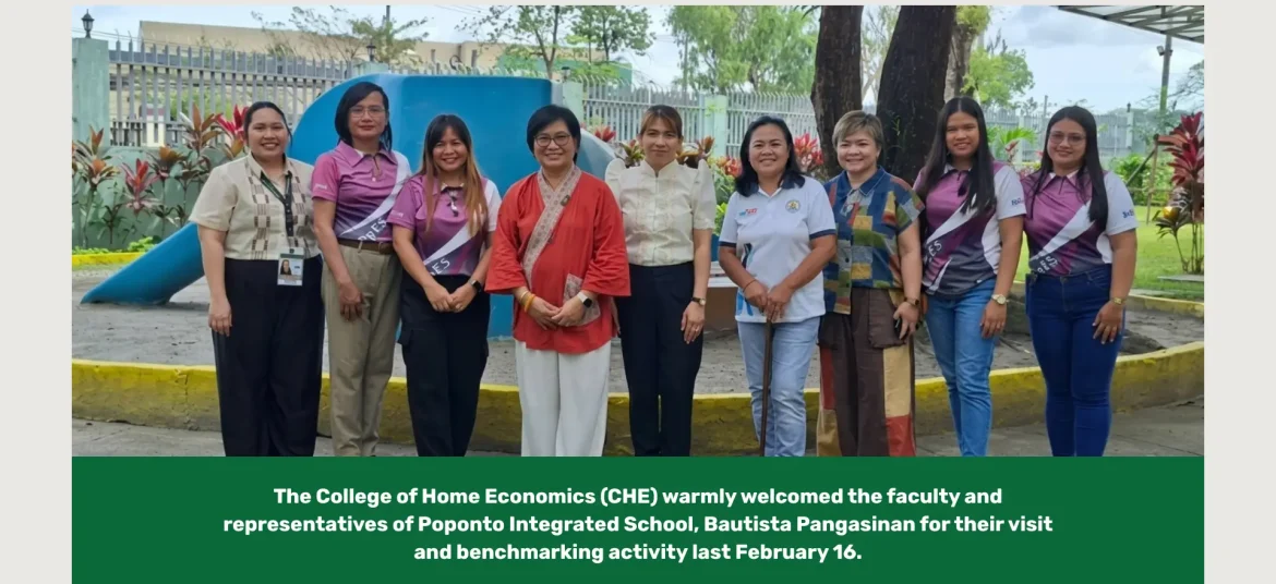 Your paragraph text (3)